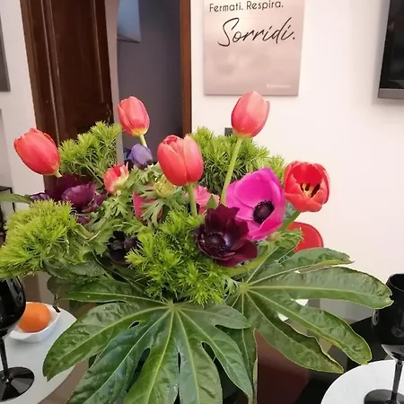La Perla Nel Pozzo *