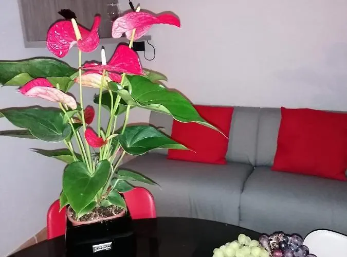 La Perla Nel Pozzo * Orvieto