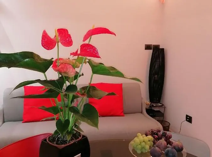 La Perla Nel Pozzo Apartamento